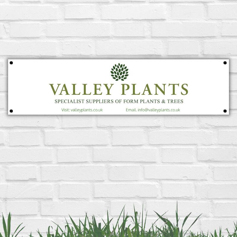 Banner 200 x 50cm Thumbnail